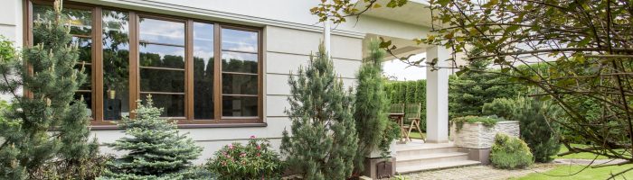 House with beauty garden
